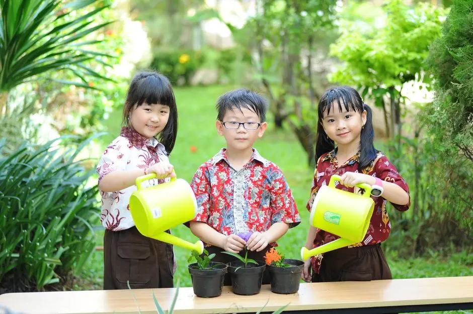 Sekolah Favorit: Antara Reputasi dan Kesesuaian Diri